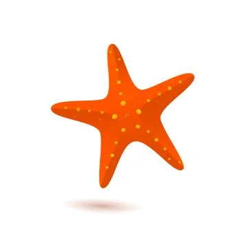 Starfish vector icon Stock Illustration