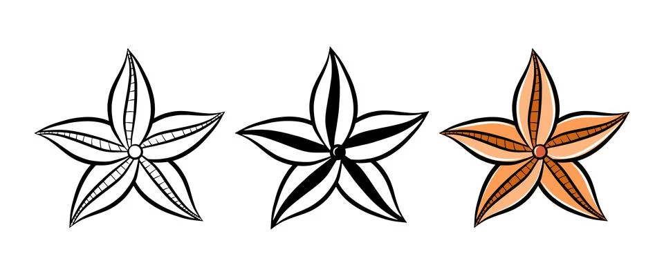 Starfish vector icon set. Isolated graphic logo design element. Ocean star fi Stock Illustration