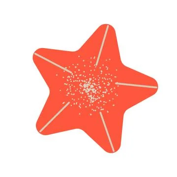 Starfish vector illustration isolated on white background. Travel concept. .. Stock Illustration