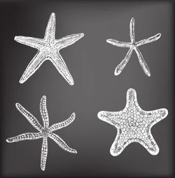 Starfishes Stock Illustration