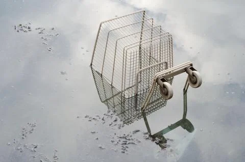 Stargazy Stock Photos