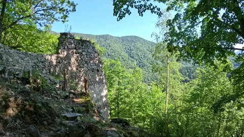 Starhrad Castle Ruins Surrounded by Forest in Slovakia Stock Footage 342112772