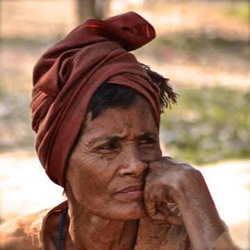 Staring into the distance. Stock Photos