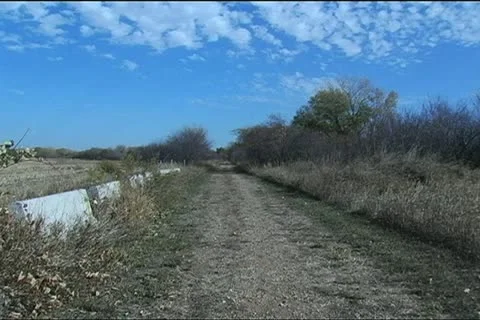 Staring down a path running into trees 30 sec SD Stock Footage 20852383