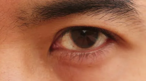 Staring Eye Close up Stock Footage 10845911