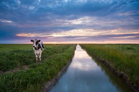 Staring at infinity Stock Photos