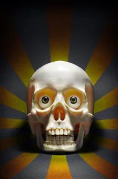 Staring skull Stock Photos