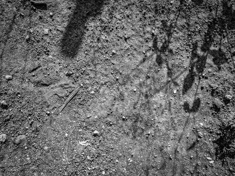 Stark, black and white image of a tree branch shadow cast on a rough, textu.. Stock Photos