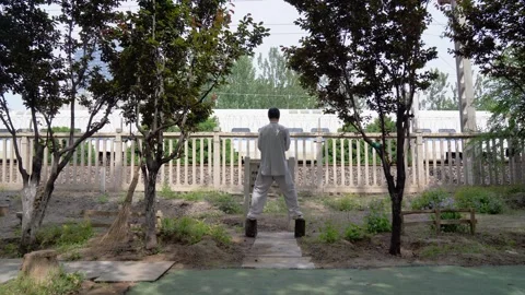 The stark contrast between human movement and stillness in morning exercise: sta Stock Footage 243009672