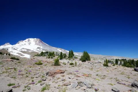 Stark mount hood Stock Photos