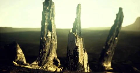 Stark silhouettes of dead trees in a desolate landscape during sunset glow 스톡 일러스트