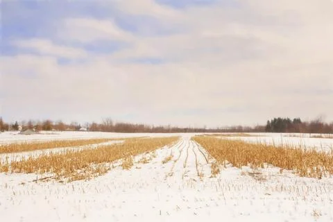 Stark Winter Day Stock Photos