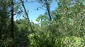Starkey Nature Park HD Footage