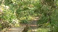 Starkey Nature Park HD Footage