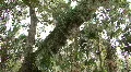 Starkey Nature Park HD Footage