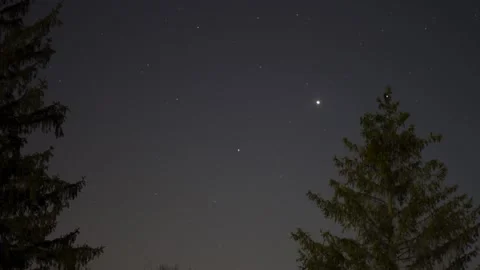StarLapse With Trees 스톡 동영상 207522232
