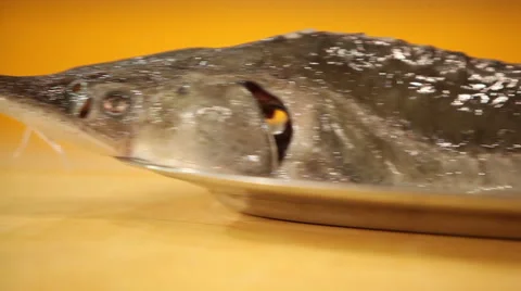 Starlet close-up Stock Footage 44218401