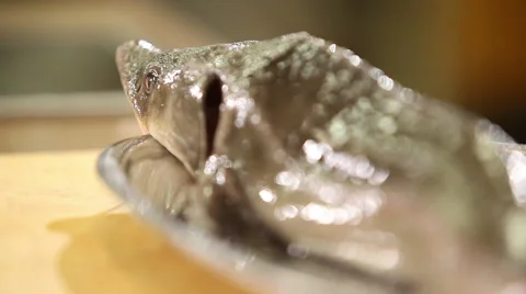 Starlet lies on a dish on the table Stock Footage 44218418