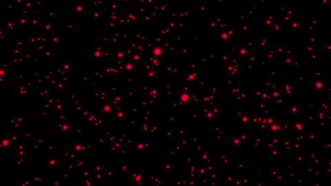 Starlight in the sky Stock Footage 288678490