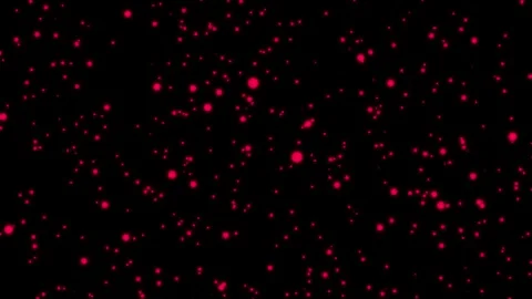 Starlight in the sky Stock Footage 288678712