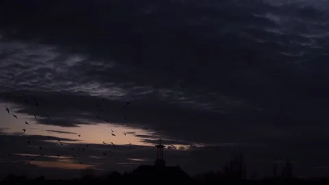 Starling bird flock flying murmuration cloudy sky dusk silhouette Stock Footage