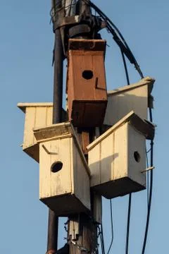 Starling boxes Stock Photos