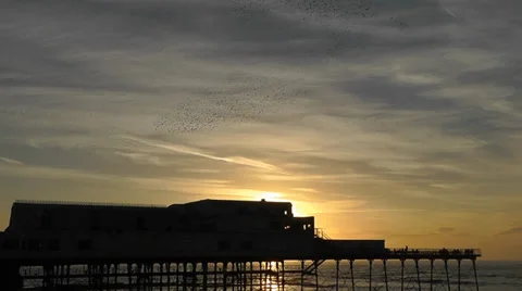 Starling murmuration over Aberystwyth pier - version 2 Stock Footage 36970834