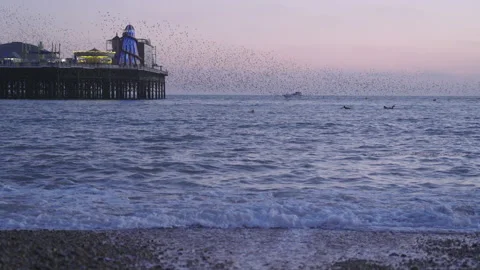 Starling murmuration over Brighton Beach, slow motion Stock Footage 301784501