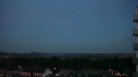 Starlings 9892 Stock Footage 10700489