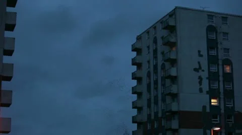 Starlings 9997 1 Stock Footage 10588129