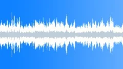 Starlings flock loud tweeting loopSound Effect
