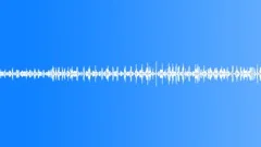 Starlings LoopSound Effect