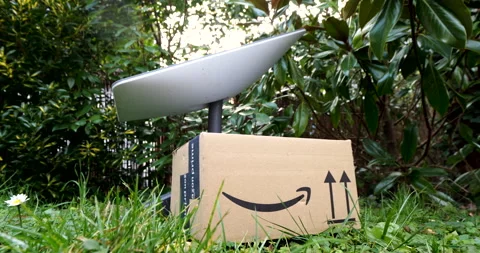 Starlink Antenna and Amazon Box in Garden Stock Footage 308829453