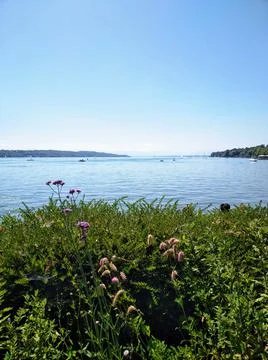 Starnberg Stock Photos