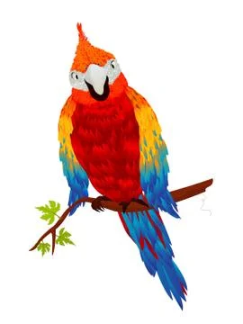 Starring parrot Stock Illustration