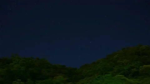 Starry Clear Night Over Rainforest Canopy, Time Lapse Stock Footage 40341157