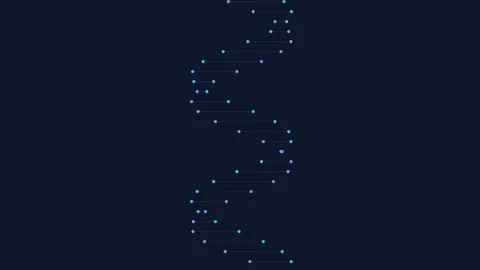 Starry constellations mapped in a dark cosmic expanse Vidéo 335255899