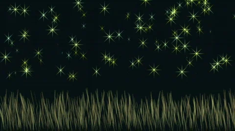 Starry meadow Stock-Footage 743005