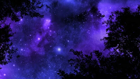 Starry Night 004 動画素材 163305509