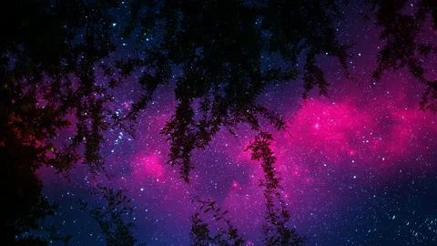 Starry Night 009 動画素材 163316383