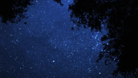 Starry Night 016 動画素材 163307050