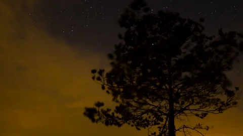 Starry night and clouds behind tree timelapse sequence Vídeos de archivo 85636010