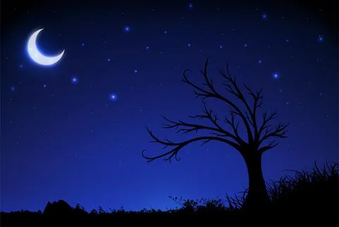 Starry night background with crescent moon, tree and grass silhouette. Widesc Illustrazione stock