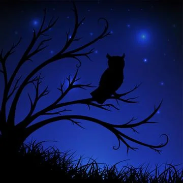 Starry night background with owl looking the pry, tree and grass silhouette. Stock Illustration