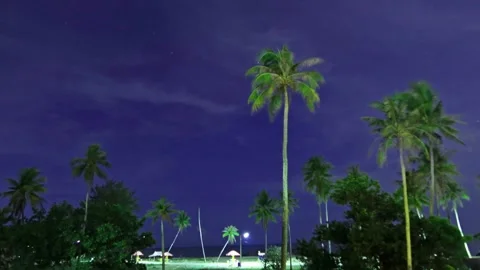 Starry night blue sky over ocean sea beach with tropical coconut palm tree Stock Footage 303814034