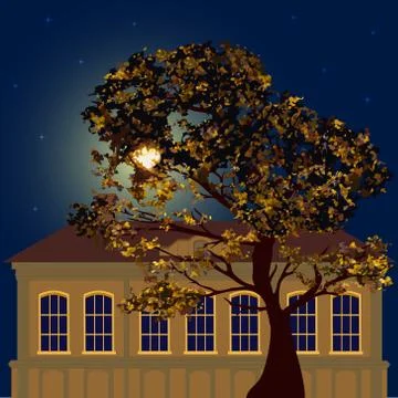 Starry night in the city 스톡 일러스트