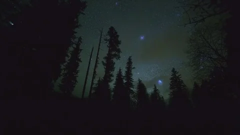 Starry night clouds dark sky and Douglas fir tree dark silhouette in McKenzie 库存影片 82028046