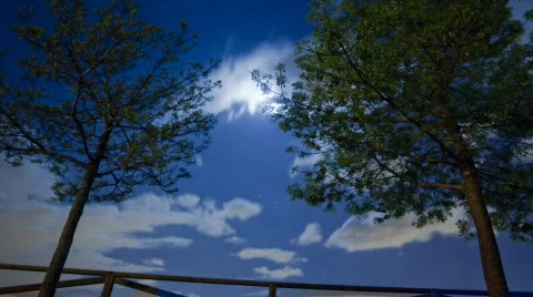 Starry night Stock Footage 670856