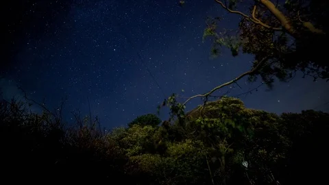Starry Night Stock-Footage 96987974