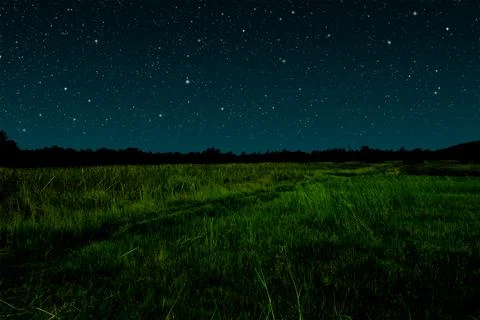 Starry night in grassland. Stock Photos